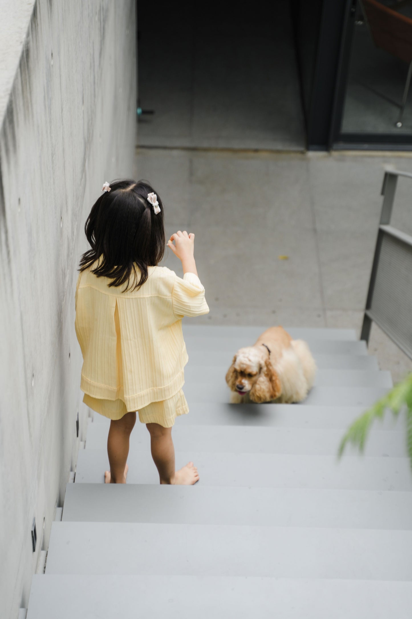 SET - MINI LOUVRE AIDEN LEMON MERINGUE